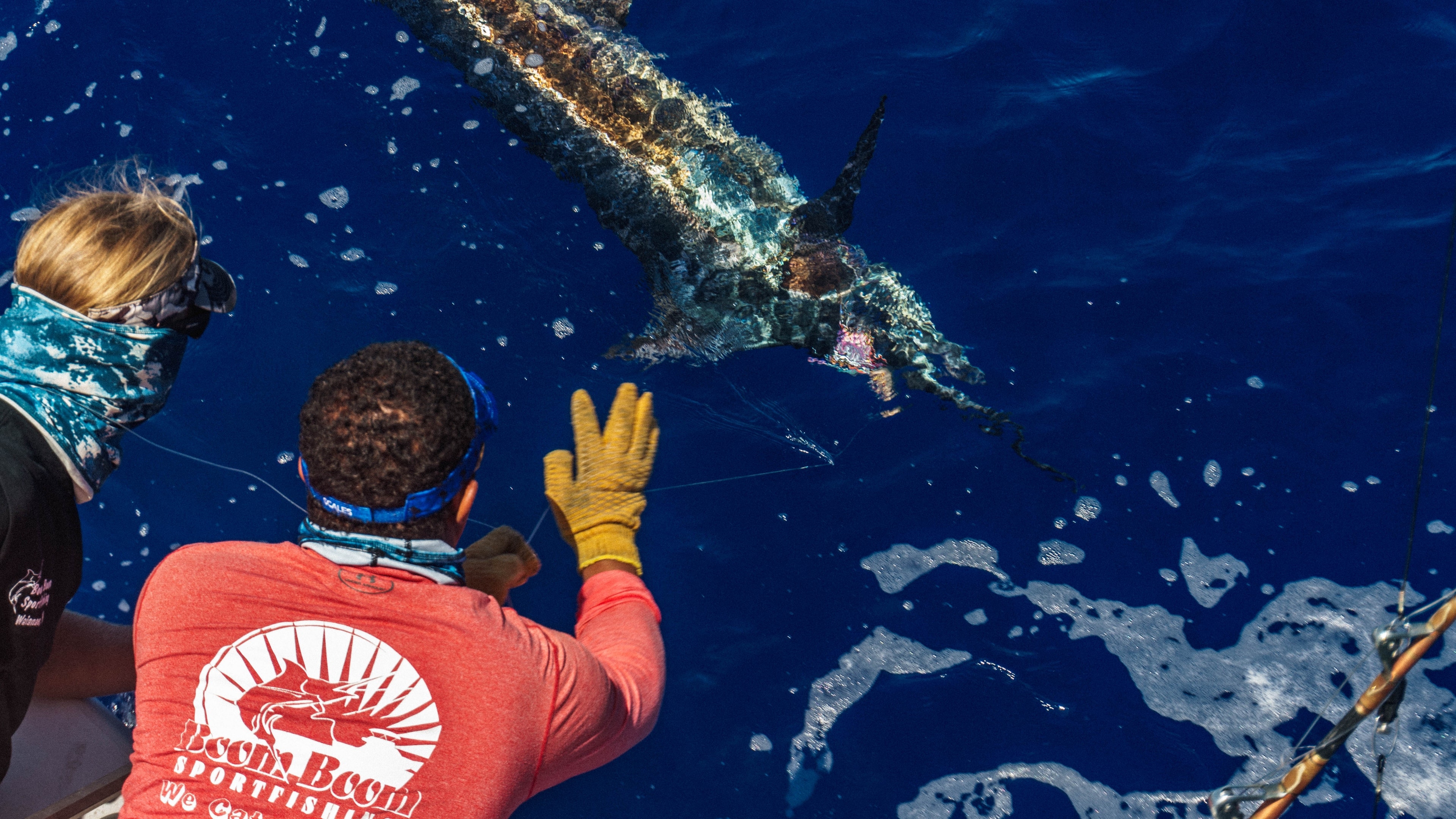 Marlin
