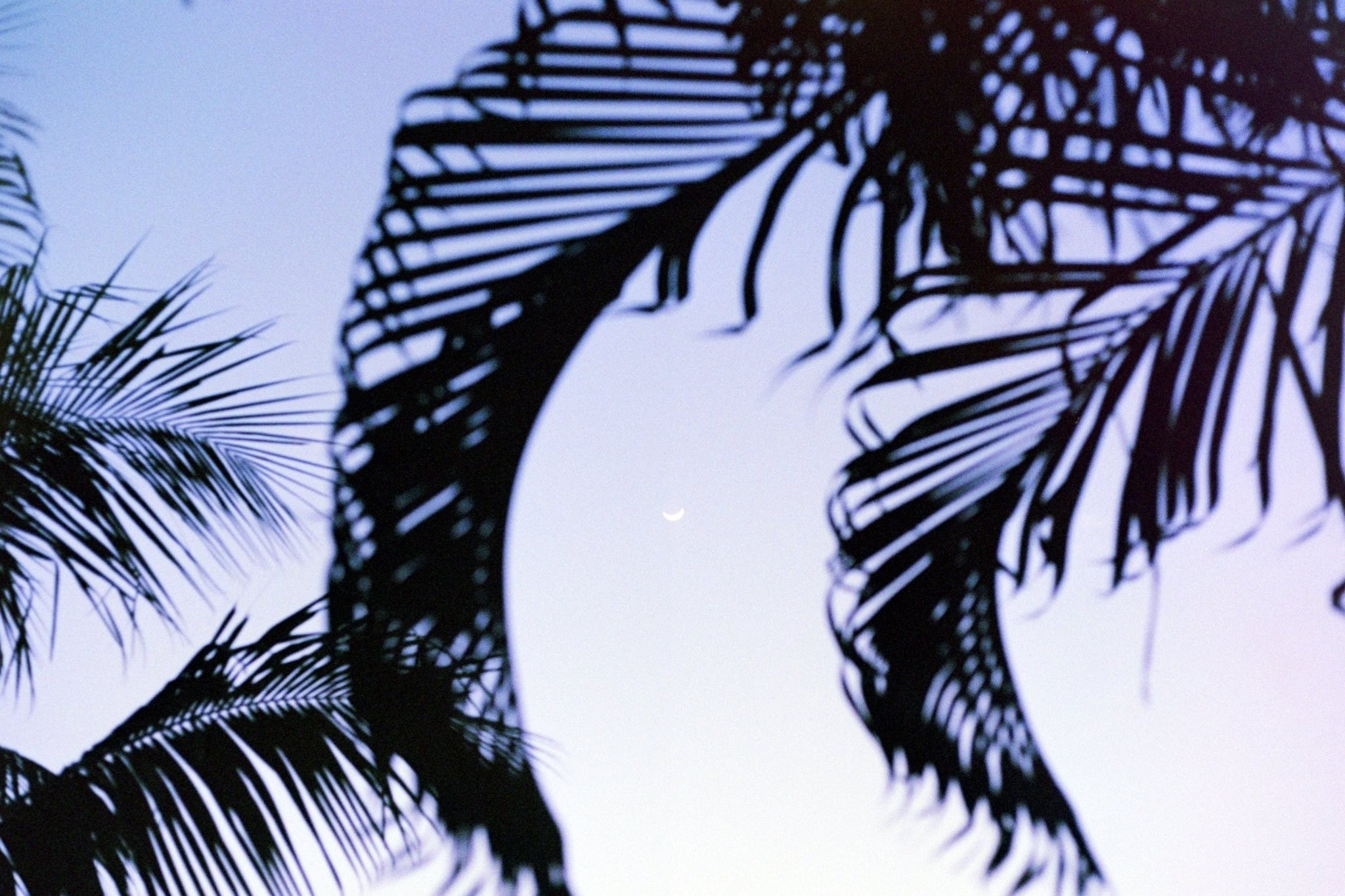 The moon